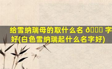 给雪纳瑞母的取什么名 🐋 字好(白色雪纳瑞起什么名字好)